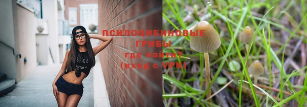 бутират Краснослободск