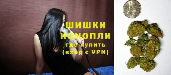 прущие грибы Красноперекопск