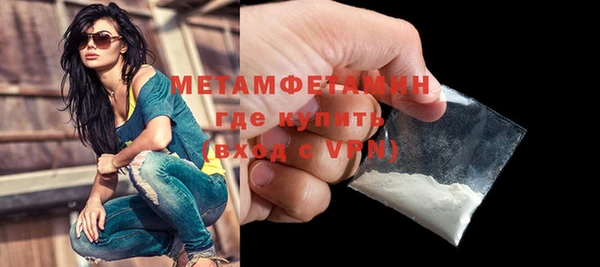 прущие грибы Красноперекопск
