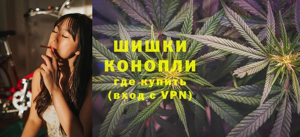 прущие грибы Красноперекопск