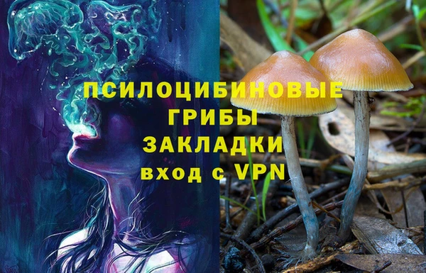 бутират Краснослободск