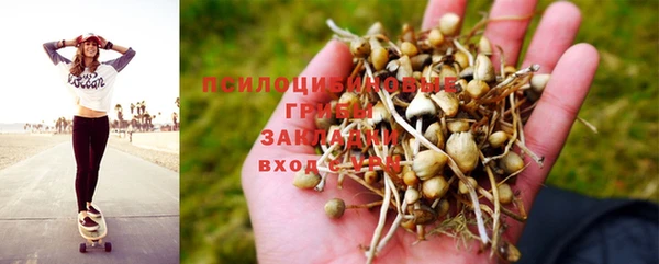 бутират Краснослободск